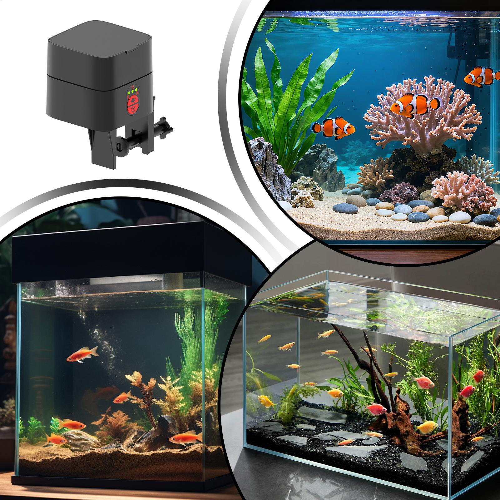 Auto Fish Feeder For Aquarium  - огляд і ціна Fishing Line Dispenser